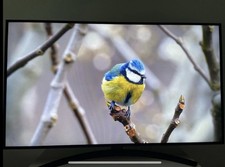 LG 50 Zoll NanoCell 4K Smart