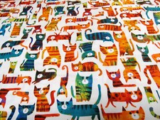 Katze Katzen Cats  for ever