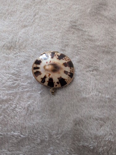Muscheldose pillendose messing - muscheldose,