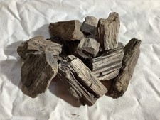 Versteinertes Holz (3)  10