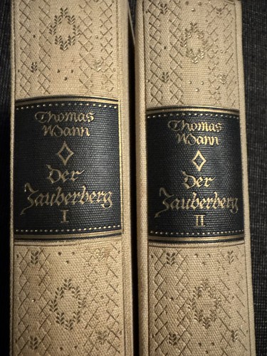 Thomas mann der zauberberg - mann,