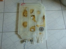 Nr 4  Wassertasche   MK-9001