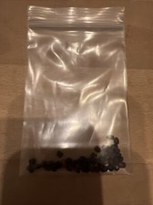 Goldregen samen - goldregen,