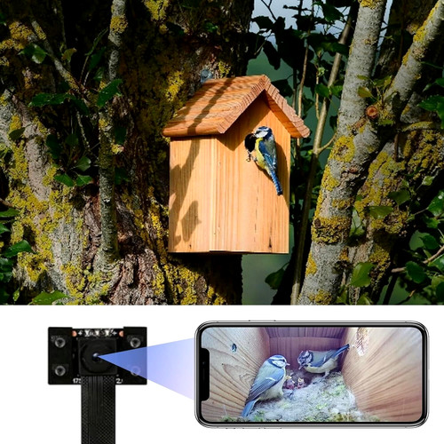 Wlan vogelhaus kamera - vogelhaus, 4k