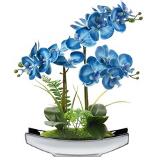Kunstblumen orchidee - kunstblumen,