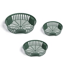 Blumenzwiebel Pflanzschale