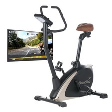 Ergometer Hometrainer Skandika