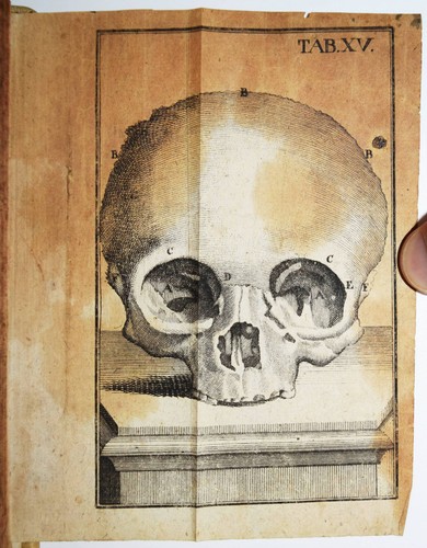 Krüger naturlehre 1742 - naturlehre,