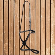 Euroriding Reithalter Mexico