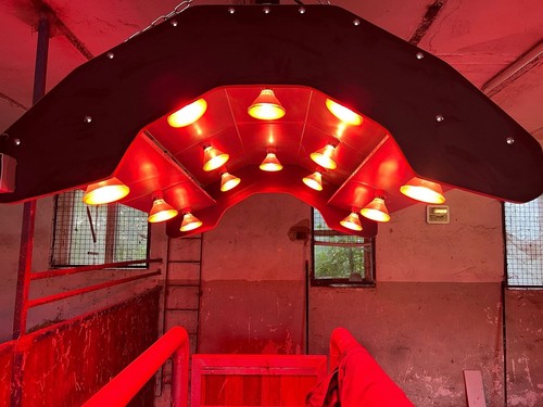 Neuwertiges pferdesolarium - neuwertiges,
