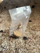 Dust 1947 / Tactics Mercenary