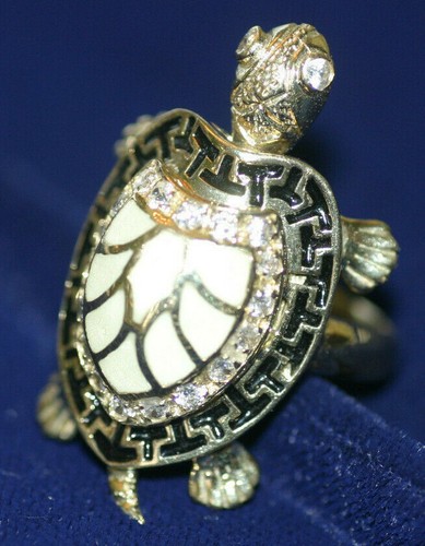 Ring schildkröte mit - schildkröte,