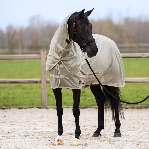 Imperial riding fliegendecke - riding,