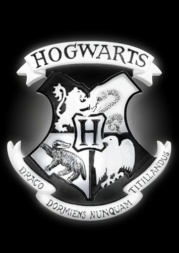 Harry potter hogwarts - potter,
