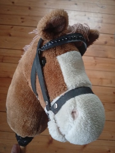Steckenpferd hobby horse - steckenpferd,