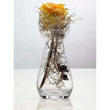 6er Set Glasvasen HYACINTH H