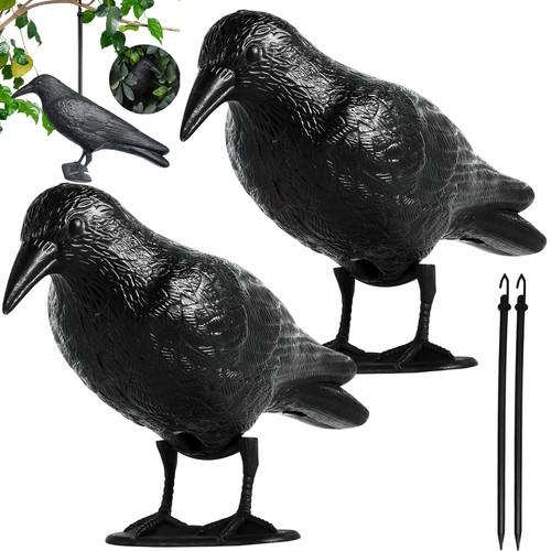 Neu vogelschreck rabe - neu,