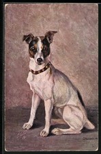 Künstler-AK Fox-Terrier mit Halsband 