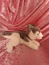 Winkler hund husky grau weiß - hund,