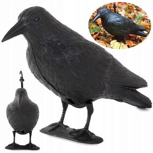 Taubenschreck xxl 40cm - 40cm, krähe