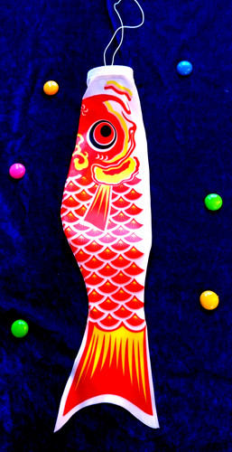 Minkaklecks fisch koi - ,