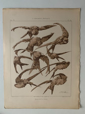 J.HABERT-DYS CHROMOLITHOGRAPHY