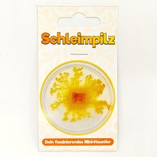 Schleimpilz - dein