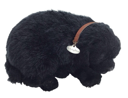 Perfect petzzz labrador - perfect,