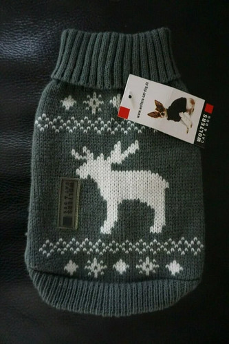 Wolters strickpullover - ⭐️,