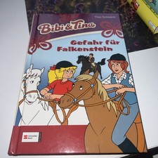 Bibi und Tina, Band 23: Gefahr