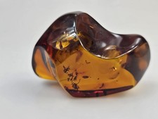 Echter Bernstein, Insekten