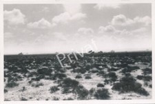 Foto WK II Wehrmacht Steppe