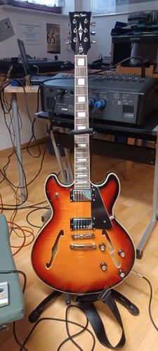 Gitarre harley benton hb - e, *harley