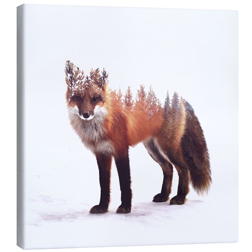 Leinwandbild fuchs peg - leinwandbild,
