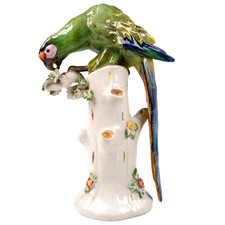 Deutscher Dresdner Papagei