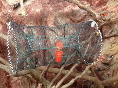 Fish trap eel - trap,, trap,