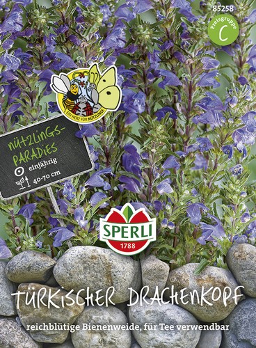 Türkischer drachenkopf - türkischer,