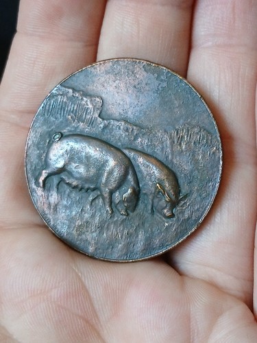 1900 bronze medaille - bronze,