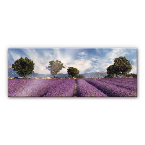 Acrylglas xxl wandbild - acrylglas,