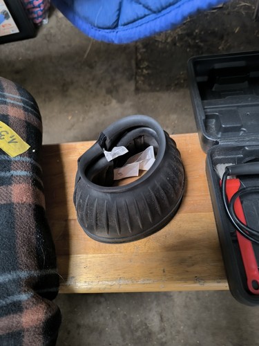 Hufglocken