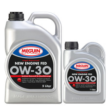 6L  5+1 Liter Flasche Meguin