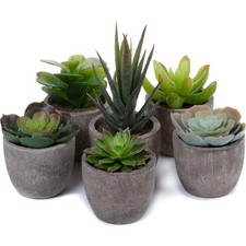 Kunstpflanzen Sukkulenten Set