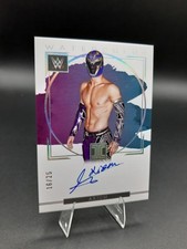 Axiom Auto/25 Panini