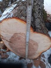  Drechselholz Oberhol Kirsche Apfel Stamm basteln Deko drechseln Holz Epoxidharz