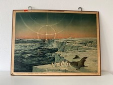 Lehrtafel Schulwandkarte ~ Polarlandschaft - antike Illustration
