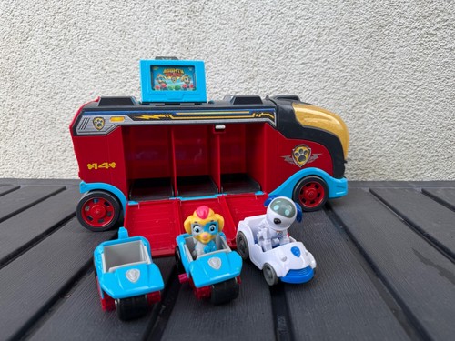 Paw patrol mighty pups - mighty,