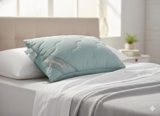 GOLDWOLKE Lesekissen Uni