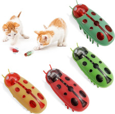 4 Stück Mini Käfer