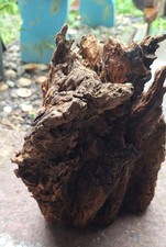 Treibholz Schwemmholz    Skulptur  25 cm  DIY Regal Lamp Terrarien Deko 