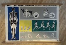 Schultafel Lernposter Anatomie Mechanik Mensch Haltung Leistung Vintage Sport